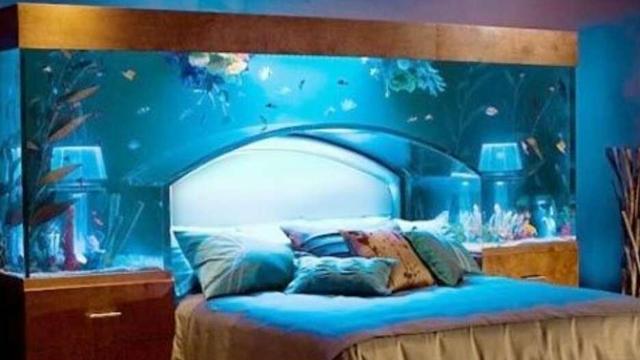 卧室里面可以养金鱼吗