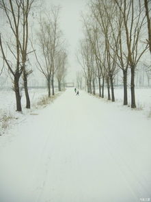 正月下雪天津哪里好,春节正月初三,天津一日游春节正月初三,就这天有时间,想去天津一