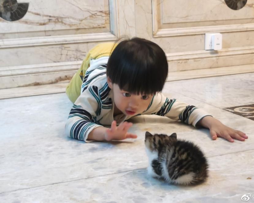 陈龙晒儿子与小动物互动照 小儿子大眼睛剪西瓜头呆萌可爱