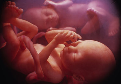 14个新因素影响胎儿发育