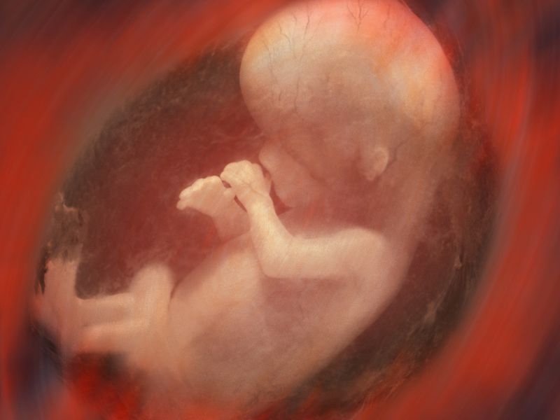 怀孕多久胎儿有胎心胎芽