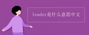 leader是什么意思中文