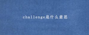 challenge是什么意思