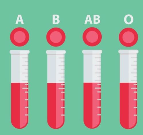 血型a跟b有什么区别,血型AB+是什么意思