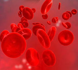 人类红细胞血型系统赵桐茂,血型B型Rho(D)阳性是什么意思