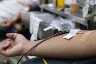哪个人血型适合献血,什么人适合献血