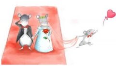 2017年属鼠人结婚需要知道的七种风水